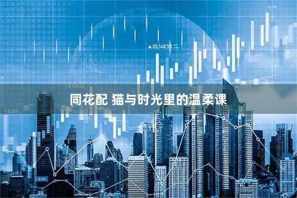 同花配 猫与时光里的温柔课