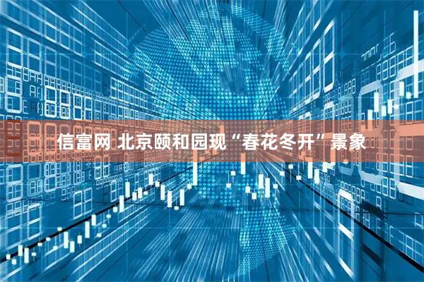 信富网 北京颐和园现“春花冬开”景象