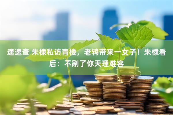 速速查 朱棣私访青楼，老鸨带来一女子！朱棣看后：不剐了你天理难容