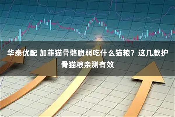 华泰优配 加菲猫骨骼脆弱吃什么猫粮?这几款护骨猫粮亲测有效