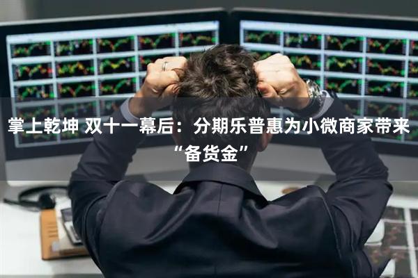 掌上乾坤 双十一幕后:分期乐普惠为小微商家带来“备货金”