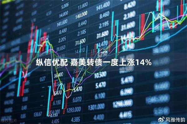 纵信优配 嘉美转债一度上涨14%