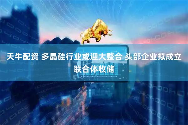 天牛配资 多晶硅行业或迎大整合 头部企业拟成立联合体收储