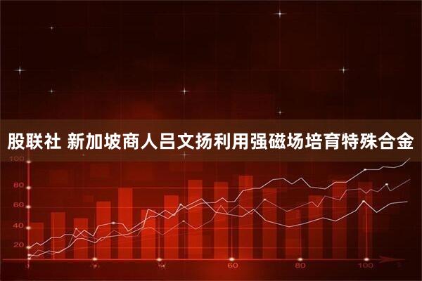 股联社 新加坡商人吕文扬利用强磁场培育特殊合金