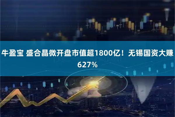 牛盈宝 盛合晶微开盘市值超1800亿!无锡国资大赚627%